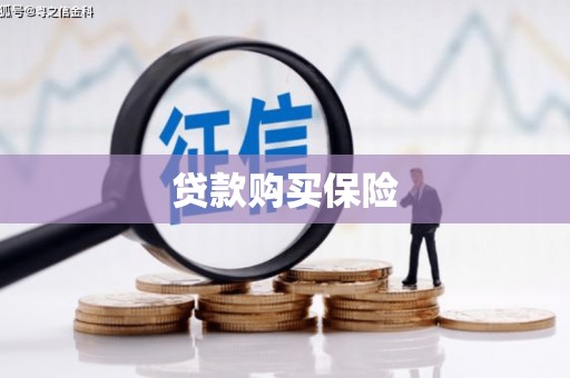 浑南贷款购买保险