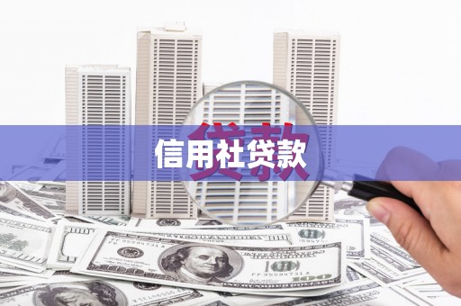 额济纳旗信用社贷款