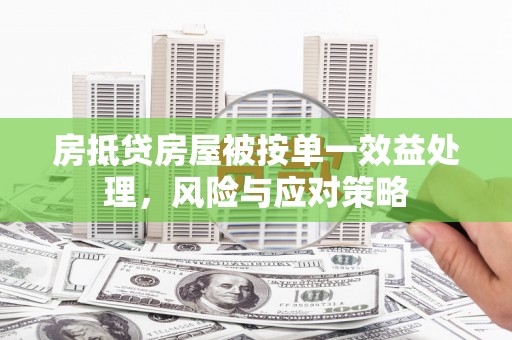 沙雅房抵贷房屋被按单一效益处理，风险与应对策略