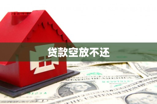 浑南贷款空放不还