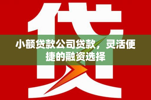 凌海小额贷款公司贷款，灵活便捷的融资选择