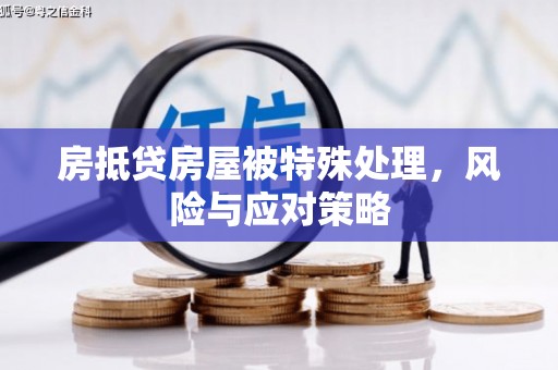 洪山房抵贷房屋被特殊处理，风险与应对策略