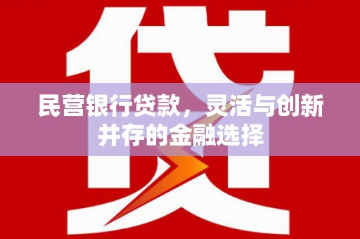 东山民营银行贷款，灵活与创新并存的金融选择