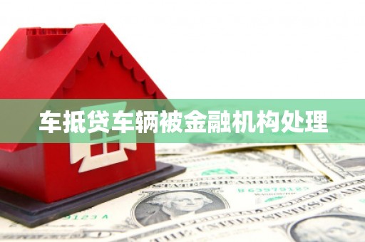 肃北车抵贷车辆被金融机构处理