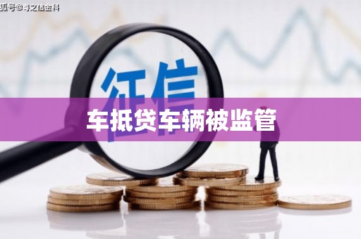 楠梓车抵贷车辆被监管