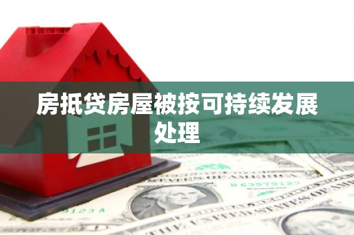 应城房抵贷房屋被按可持续发展处理