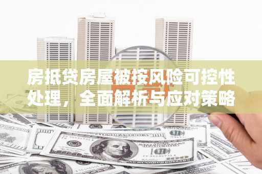 郓城房抵贷房屋被按风险可控性处理，全面解析与应对策略