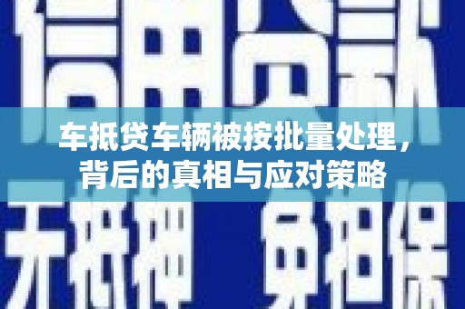 永寿车抵贷车辆被按批量处理，背后的真相与应对策略