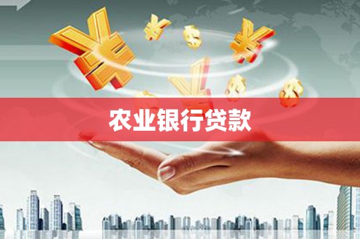 七美农业银行贷款