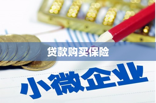 阜平贷款购买保险