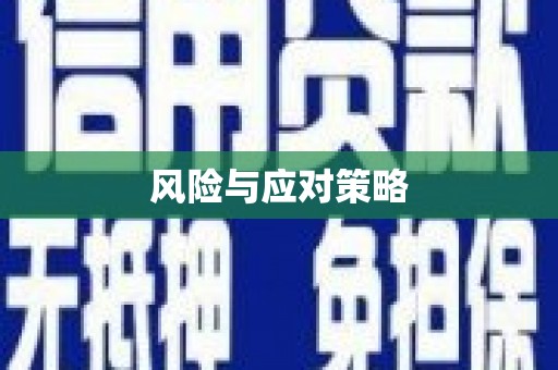 崇仁风险与应对策略