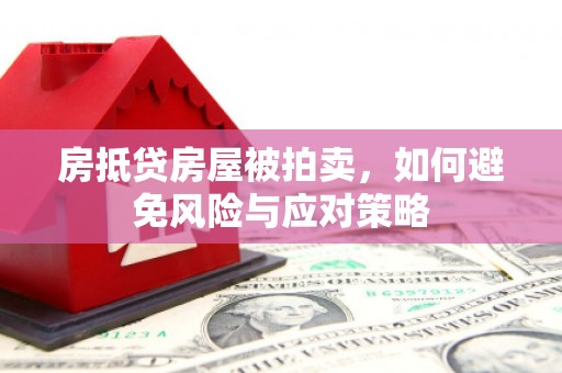 定安房抵贷房屋被拍卖，如何避免风险与应对策略