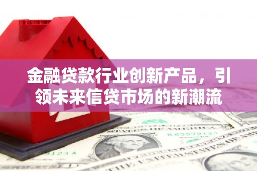 大名金融贷款行业创新产品，引领未来信贷市场的新潮流