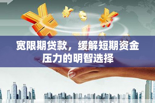泾源宽限期贷款，缓解短期资金压力的明智选择