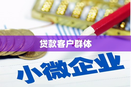 包河贷款客户群体