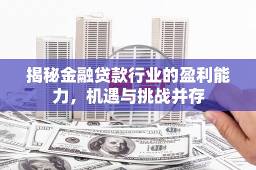 漳浦揭秘金融贷款行业的盈利能力，机遇与挑战并存