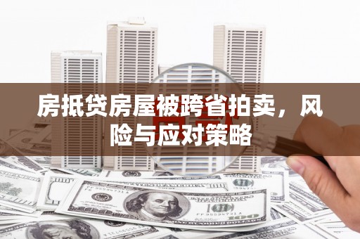 河池房抵贷房屋被跨省拍卖，风险与应对策略