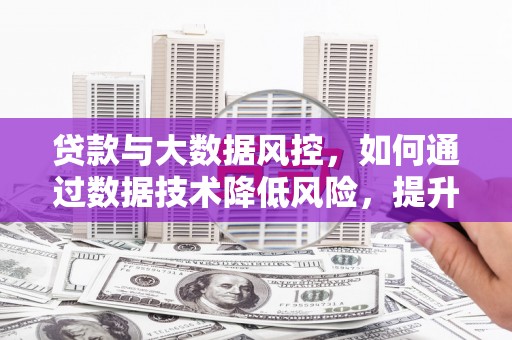 平原贷款与大数据风控，如何通过数据技术降低风险，提升贷款效率