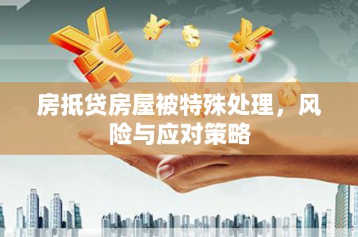 马山房抵贷房屋被特殊处理，风险与应对策略