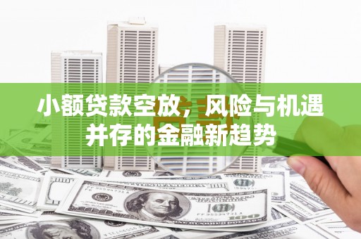 南化小额贷款空放，风险与机遇并存的金融新趋势