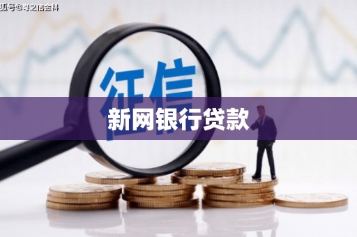 岱岳新网银行贷款