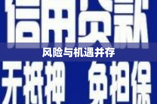 岱岳风险与机遇并存