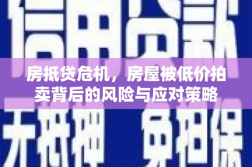杉林房抵贷危机，房屋被低价拍卖背后的风险与应对策略