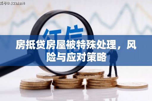 下城房抵贷房屋被特殊处理，风险与应对策略