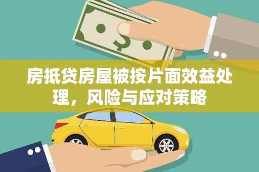 罗庄房抵贷房屋被按片面效益处理，风险与应对策略