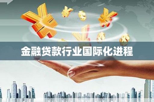 民和金融贷款行业国际化进程