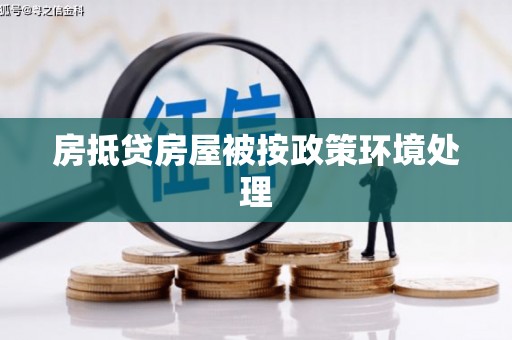 桐乡房抵贷房屋被按政策环境处理