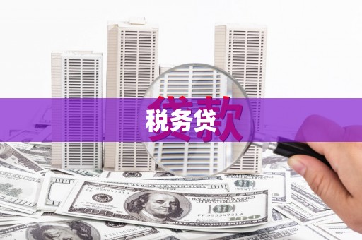 桐乡税务贷