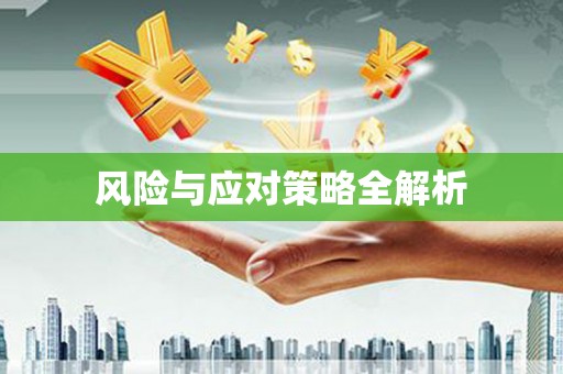 堆龙德庆风险与应对策略全解析