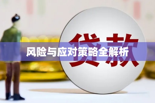 堆龙德庆风险与应对策略全解析