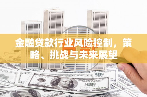 堆龙德庆金融贷款行业风险控制，策略、挑战与未来展望