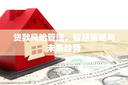 高淳贷款风险管理，智慧策略与未来趋势