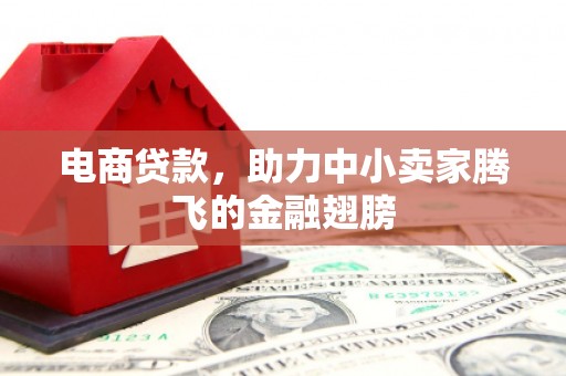 营口电商贷款，助力中小卖家腾飞的金融翅膀