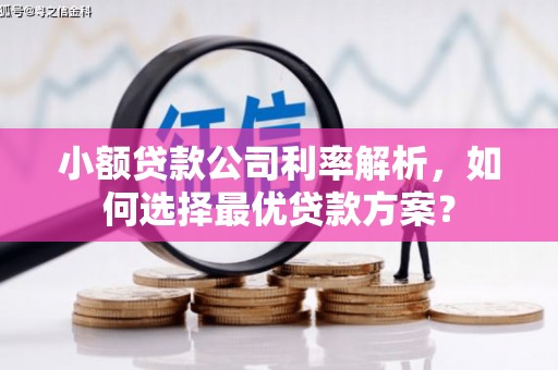 襄阳小额贷款公司利率解析，如何选择最优贷款方案？