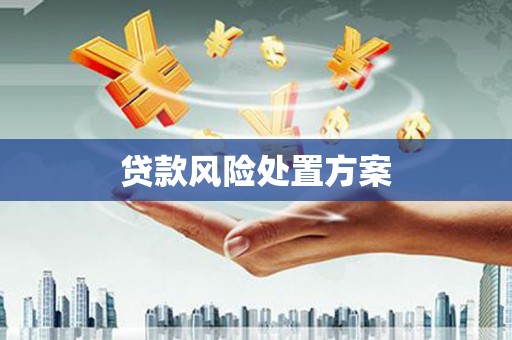 德安贷款风险处置方案