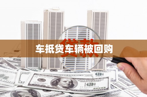 罗城车抵贷车辆被回购