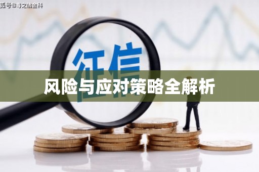 罗城风险与应对策略全解析