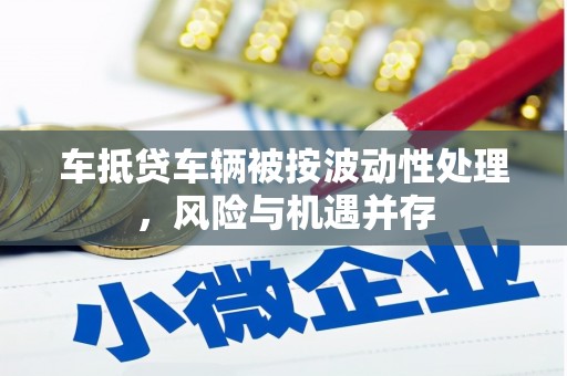 咸宁车抵贷车辆被按波动性处理，风险与机遇并存