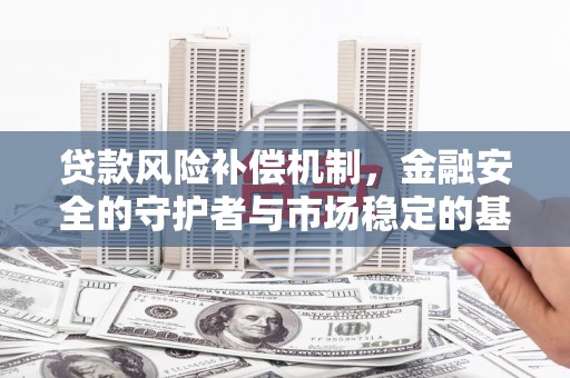 柳东贷款风险补偿机制，金融安全的守护者与市场稳定的基石
