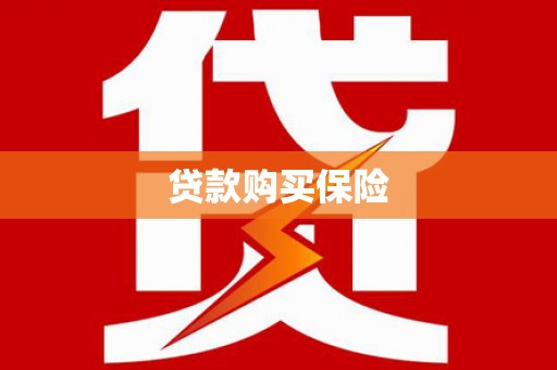 柳东贷款购买保险