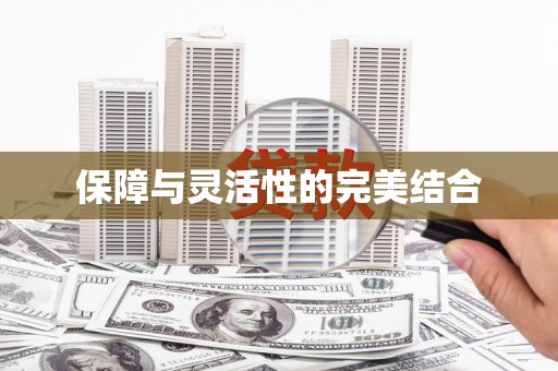 石龙保障与灵活性的完美结合