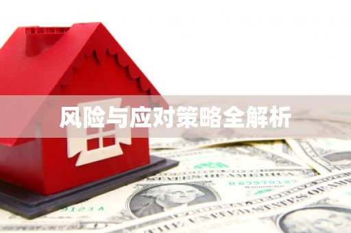应城风险与应对策略全解析