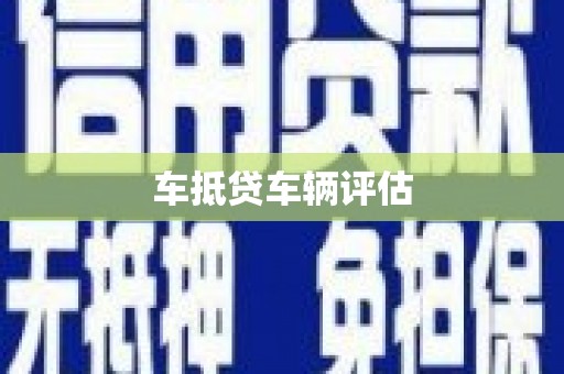 左镇车抵贷车辆评估