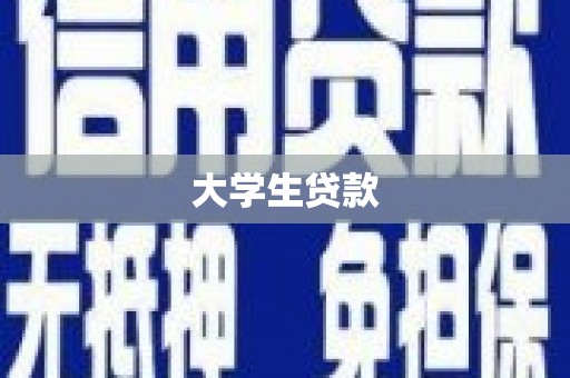 巴楚大学生贷款