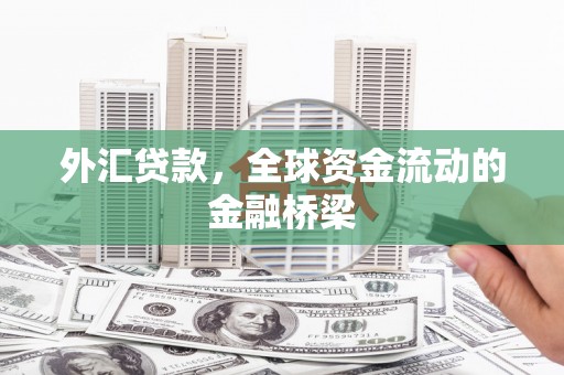 信州外汇贷款，全球资金流动的金融桥梁