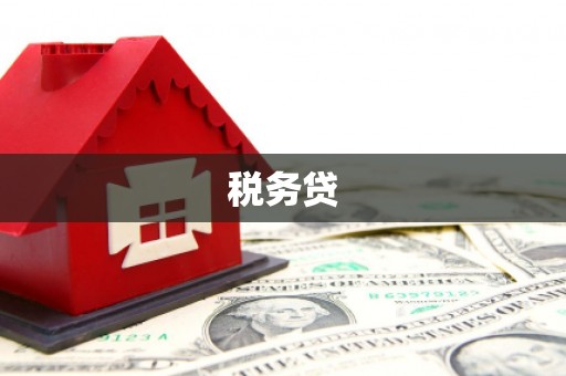 八德税务贷